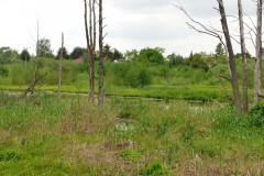 P1190463