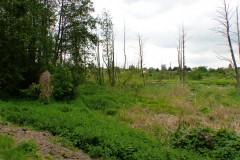 P1190464