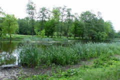 P1190476