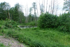 P1190482