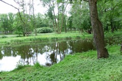 P1190491