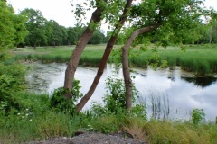 P1190534
