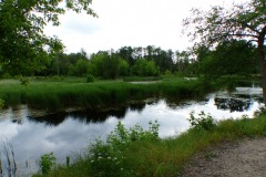 P1190535
