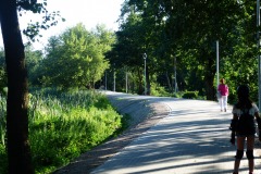 P1200281