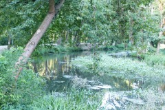 P1200337