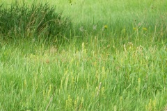 P1210311