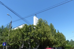 P1210781
