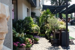 2019.07.20 Rośliny w Starej Papierni