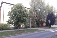 20190808_193259