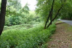 P1220015