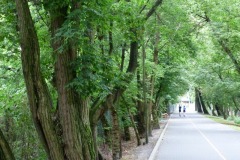 P1220021