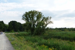 P1220071