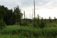 P1220074