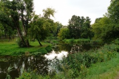 P1220139