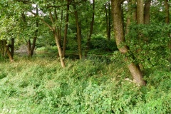 P1220147