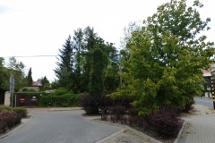 P1220500