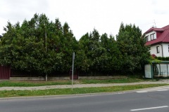 P1220513