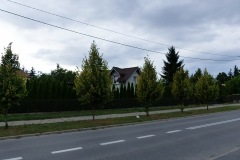P1220568