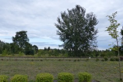 P1220574