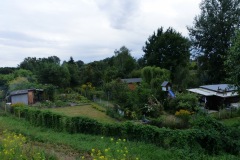 P1220647