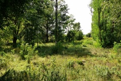 P1220250