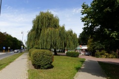 P1220316