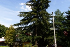 P1220318