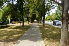 P1220322