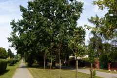P1220327