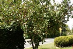 P1220355