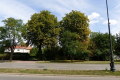 P1220400