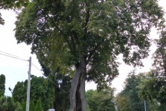 P1220676