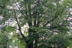 P1220687