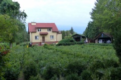 P1220698