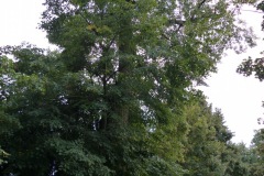 P1220714