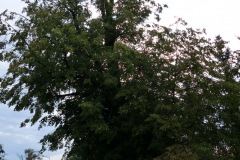 P1220737