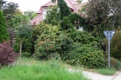 P1220746