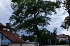 P1220748