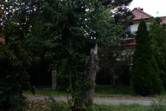 P1220749