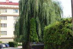 P1220792