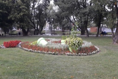 20190915_143931
