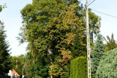 P1220822