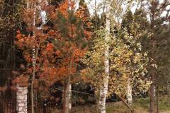 2019.10.27 Kolory jesieni