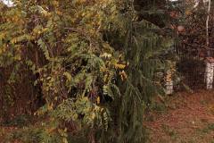 20191027_140447