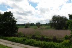 P1230206