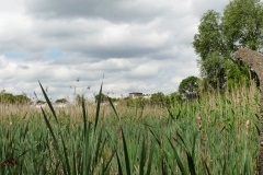 P1230231