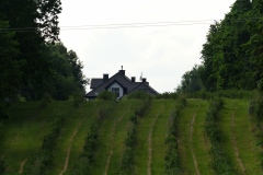 P1230239