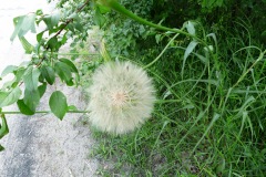 P1230248
