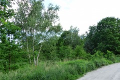 P1230262