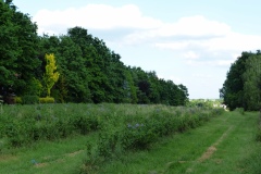 P1230264